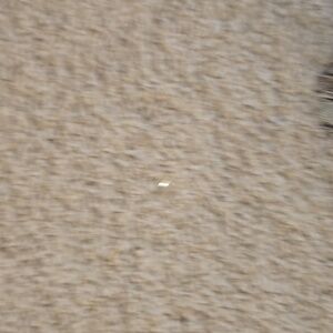 Sold but it will not let me delete